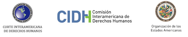 Corte-CIDH-Mar-2014-logos-es
